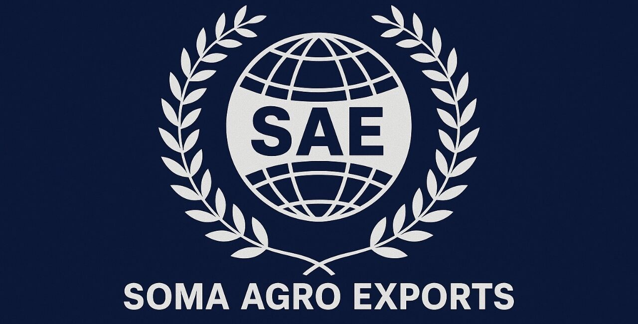 WhatsApp Image 2025-08-18 at 11.48.29 AM (1)